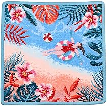 フェイラー　タオルハンカチ　ギグル♡専用 Amazon.co.jp: FEILER フェイラー タオルハンカチ 40.04004