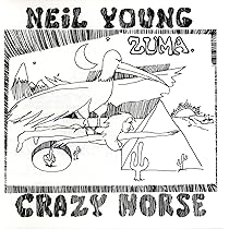 ◾️オリジナル盤◾️NEIL YOUNG / ニール・ヤング / Mirror B □レーザーディスク5枚セット□NEIL YOUNG / ニールヤング
