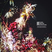 Amazon.co.jp: INVISIBRUISE - ulma sound junction: ミュージック