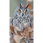 フクロウ iPhone SE/8/7/6s(750×1334)壁紙 Eulen 2020 Broschuerenkalender フクロウ iPhone SE/8/7/6s(750×1334)壁紙 Eulen 2020 Broschuerenkalender