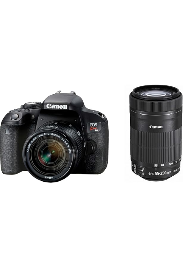 今すぐ使えるかんたんmini Canon EOS Kiss X9i 基本&応用 撮影ガイド