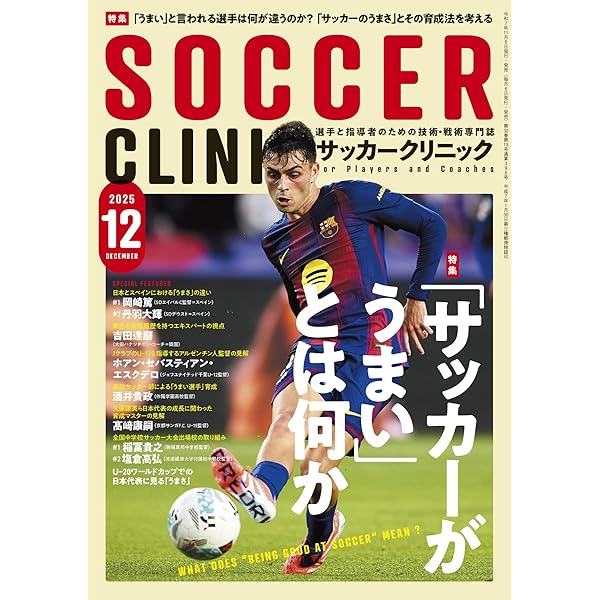 【希少品】サッカーのピリオダイゼーション 希少品】サッカーのピリオダイゼーション 希少品】サッカーの