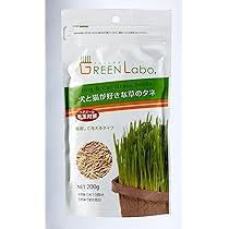 Amazon.co.jp: グリーンラボ 犬と猫が好きな草のタネ 200gX3個セット  
