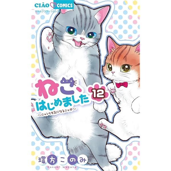 ねこ、はじめました（14） (ちゃおコミックス) | 環方このみ | 少女 