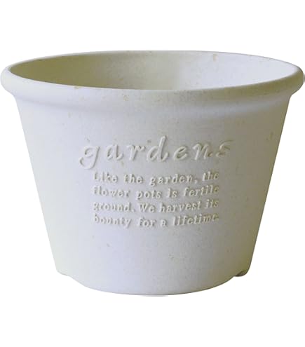 Amazon.co.jp: 萩焼 椿秀窯 大賀和幸 自宅保管品 大鉢 直径約20㎝×高さ