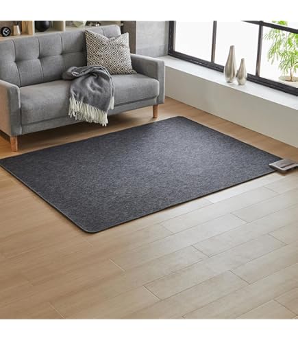 Amazon.co.jp : ワタナベ工業 ラグ・カーペット 電気カーペット 1.5畳