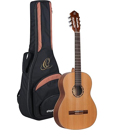 Amazon | ARIA アリア ミニクラシックギター ソフトケース付 A-20-58
