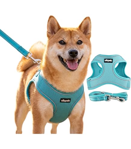 Amazon | Momo no Hana 犬 ハーネス リード セット 小型犬 ハーネス