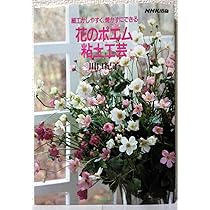 81y7hfIDF6L._AC_UL210_SR210,