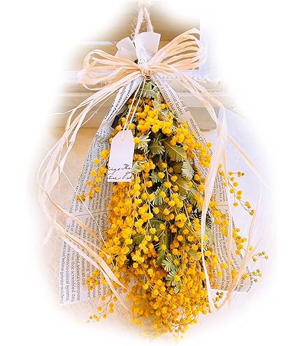 Amazon｜ふんわりミモザリース ドライフラワーリース ハーフリース