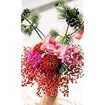 お正月 FVGA(480×800)壁紙 デザイナーお任せ迎春アレンジメント 正月アレンジメント お正月 FVGA(480×800)壁紙 デザイナーお任せ迎春アレンジメント 正月アレンジメント