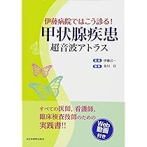 【中古】 腎疾患のとらえかた 眼でみるベッドサイドの病態生理/文光堂/伊藤貞嘉 中古】 腎疾患のとらえかた 眼でみるベッドサイドの病態生理/文