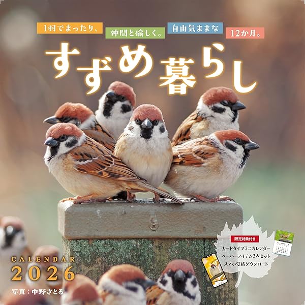 スズメのくらし (たくさんのふしぎ傑作集) | 平野 伸明 |本 | 通販