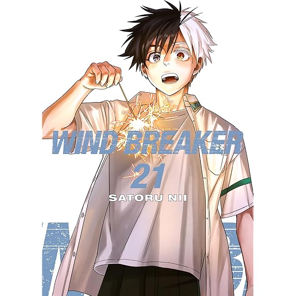 WIND BREAKER 24 (English Edition) | Nii, Satoru, Nii, Satoru