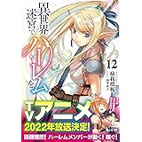 異世界迷宮でハーレムを 12 (ヒーロー文庫)