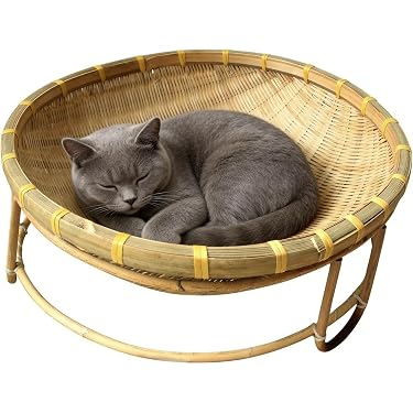 Amazon.co.jp 最新リリース: 猫用ベッド の新着ランキングです。