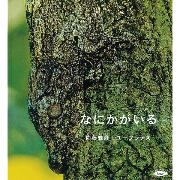 指を置く | 佐藤雅彦, 齋藤達也 |本 | 通販 | Amazon