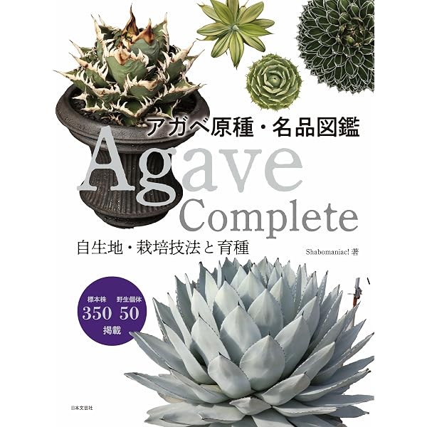 Amazon.co.jp: アガベ・チタノタ ネームド図鑑 AGAVE TITANOTA NAMED