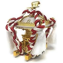 81yZ9btPW-L._AC_UL210_SR210,