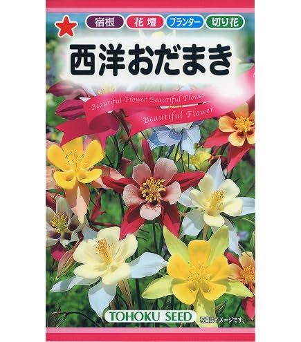 Amazon.co.jp: 種 花たね オダマキ 西洋おだまき混合 1袋(150mg) / 国