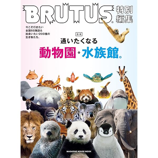 浅草パンダ ミス・マープル 完全版 DVD1~12全巻セット Amazon.co.jp: ミス・マープル 完全版 [レンタル落ち] 全12巻