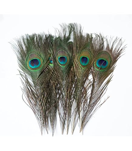 Amazon | 鳥の羽-ピーコック・アイ Sサイズ 4本 [019-Eye-S-N
