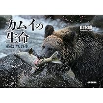 カムイの大地 北海道・新風景 | 山本 純一 |本 | 通販 | Amazon