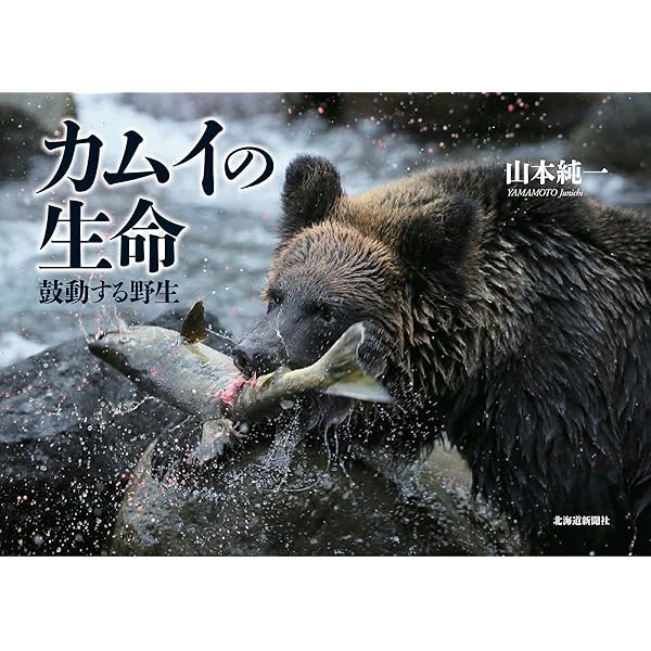 カムイの大地 北海道・新風景 | 山本 純一 |本 | 通販 | Amazon