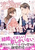 わたしたち、三ヶ月後に離婚します！～パーフェクト御曹司と期間限定婚～ (ヴァニラ文庫)