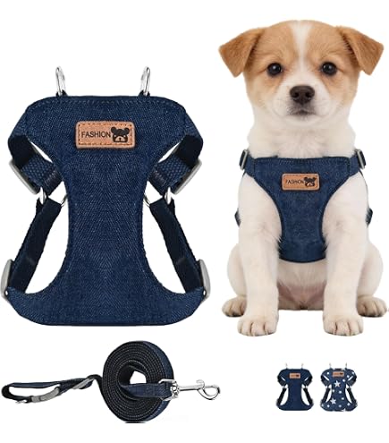 Amazon | EXDUCT 犬用ハーネス ハーネス 犬用胴輪 小型犬 中型犬