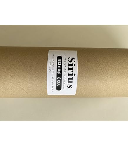 Amazon.co.jp: 水彩紙 大きい オリオン シリウス 特厚口 220g B