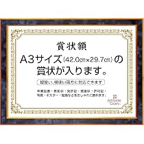 Amazon.co.jp: 賞状 額縁 (A3 サイズ) ブルー 青 フォトフレーム 賞状