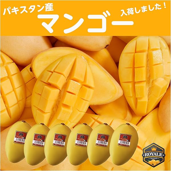 パキスタン産の新鮮なプレミアムマンゴー、16個入り パキスタン マンゴー | Halal Store Japan | Online Halal Food