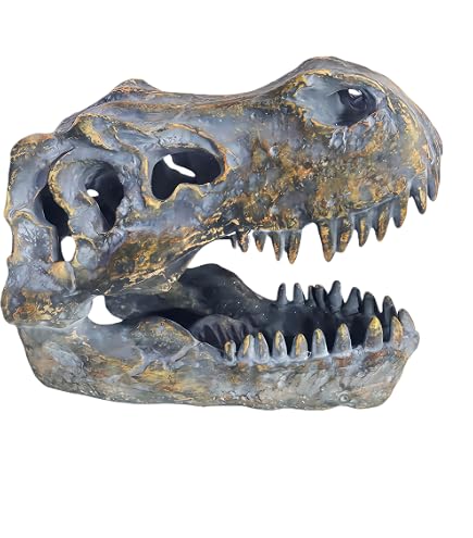 Amazon.co.jp: Utahraptor Dinosaur Life Size Raptor Claw Fossil