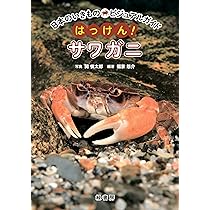 生物細密画「サワガニの食事」 水彩画 生物細密画「サワガニ」 真作｜Yahoo!フリマ（旧PayPayフリマ）