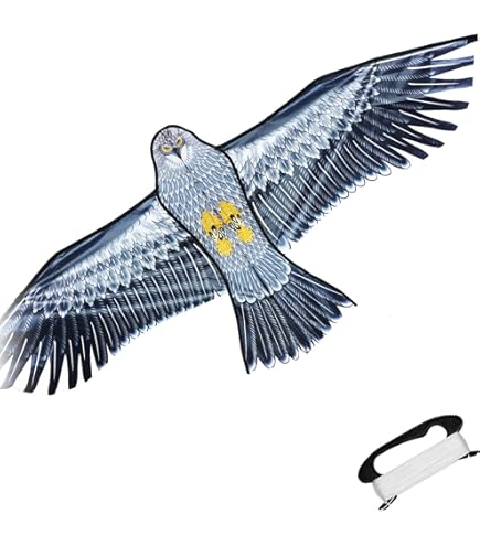 鷹 楽天市場】鳥追い暴れん坊タカ K-901 メール便対応（1個まで