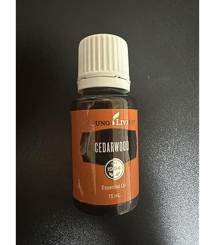 Amazon.co.jp: ローズマリー 15ml : ドラッグストア
