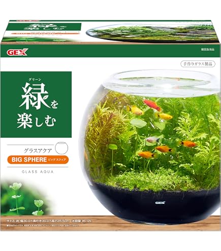 Amazon.co.jp: 受注作 アクアテラリウム 滝 池 苔テラリウム 30cm水槽