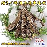 熊本県産 瞬間冷凍 車海老 250g さしみ可【水揚げ即真空パック＆瞬間急速冷凍で活きの鮮度を閉じ込めました】