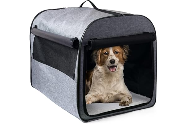 small dog kennel amazon