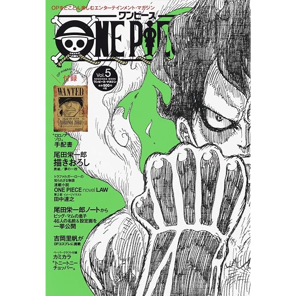 ONE PIECE magazine Vol.1 : Amazon.sg: Automotive