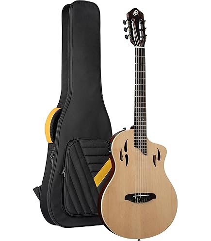 Amazon | Godin Multiac Nylon SA/Natural エレガットギター ゴダン