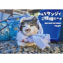 みんなケンジでご機嫌だべや | 土肥 美帆 |本 | 通販 | Amazon