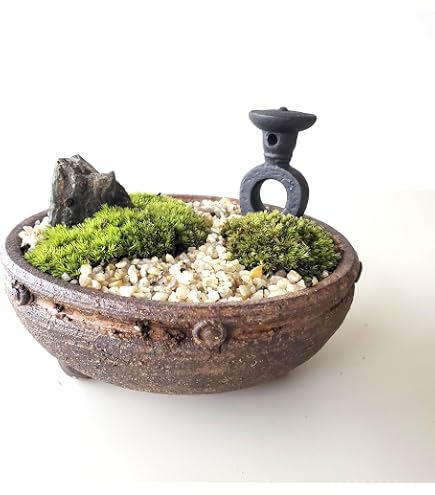 Amazon.co.jp: 能作 苔盆栽 はりねずみ 子-青銅 （花器） : DIY・工具