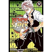 専用 noko様 DEMON SLAYER 洋書 12-21巻 専用 noko様 DEMON SLAYER 洋書 12-21巻 Manga Demon Slayer