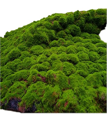 Amazon | 【受注生産品】『人工植栽』 タカショー 人工苔 芝マット 26