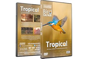 Relaxing Nature DVD - Bird Safari - Tropical Birds and Wildlife Scenery with Relaxing Music or Nature Sounds