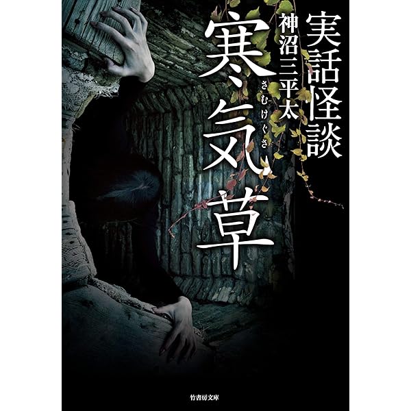 竹書房ホラー文庫 実話怪談系 31冊セット 美品 未読本あり Amazon.co.jp: 実話怪談 凄惨蒐 (竹書房怪談文庫) eBook : 神沼