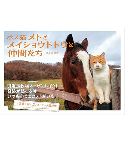 Amazon.co.jp: サラブレッドコレクション マスコットボールチェーン6