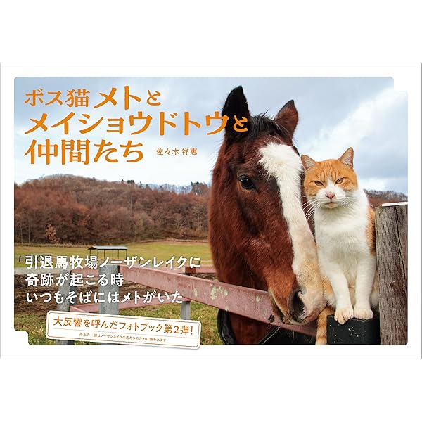 ルドルフの背 | 岡部幸雄 |本 | 通販 | Amazon